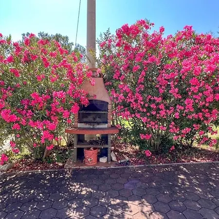 Viola Three Apartment *