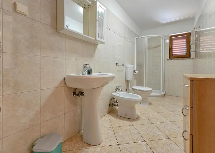 Viola Three Novigrad Istria