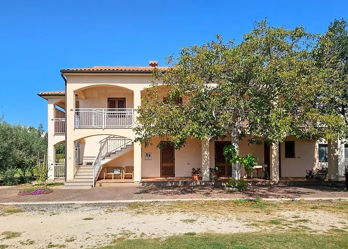 Apartamento Viola Three *