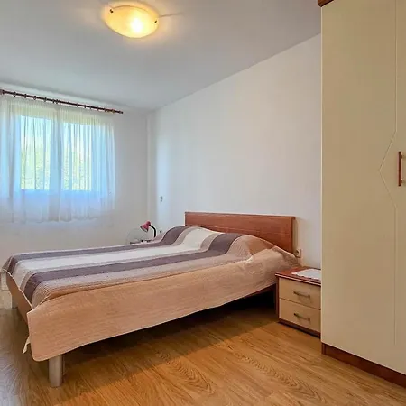 Viola Three Novigrad Istria