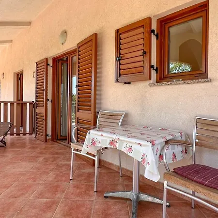 Viola Three * Novigrad Istria