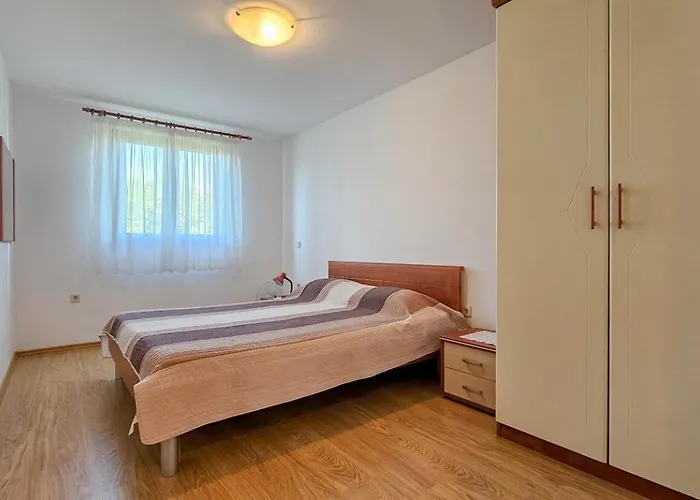 Viola Three Novigrad Istria