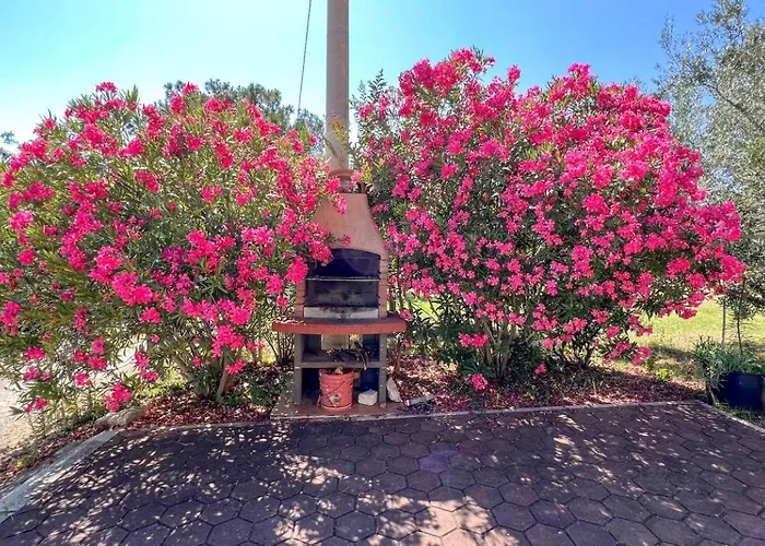 Viola Three Appartamento *